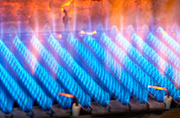 Raffrey gas fired boilers